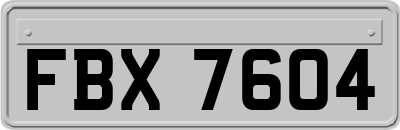 FBX7604