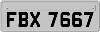 FBX7667