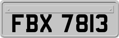 FBX7813