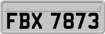 FBX7873