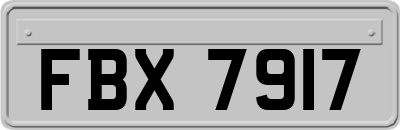 FBX7917