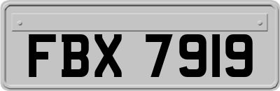 FBX7919