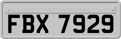 FBX7929