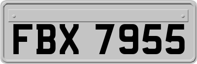 FBX7955