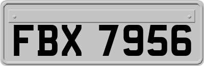 FBX7956