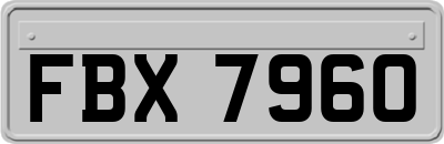 FBX7960
