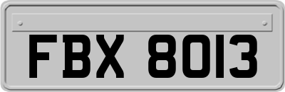 FBX8013
