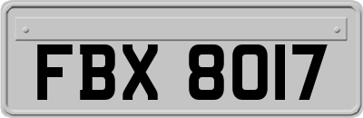 FBX8017
