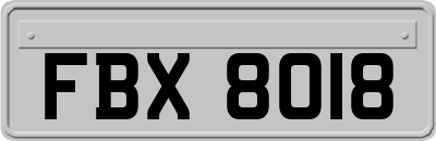 FBX8018