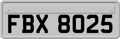 FBX8025