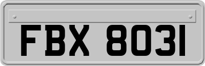 FBX8031