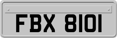 FBX8101