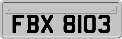 FBX8103