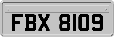 FBX8109