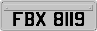 FBX8119