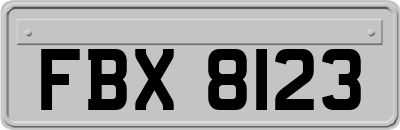 FBX8123