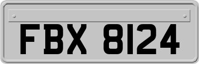 FBX8124