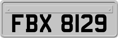 FBX8129
