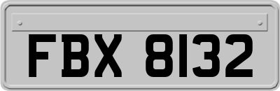 FBX8132