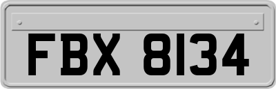 FBX8134
