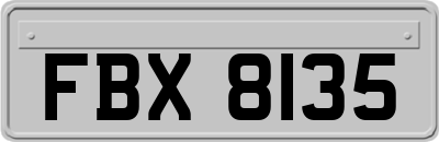 FBX8135