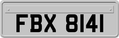 FBX8141