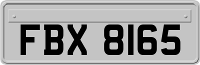 FBX8165