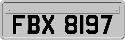 FBX8197