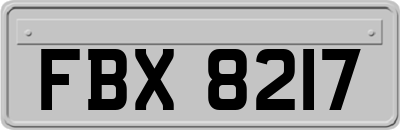 FBX8217