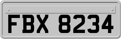 FBX8234