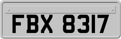 FBX8317
