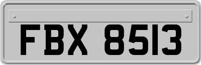 FBX8513