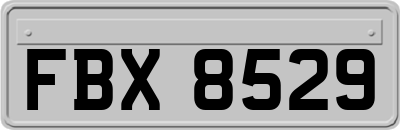 FBX8529