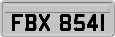 FBX8541