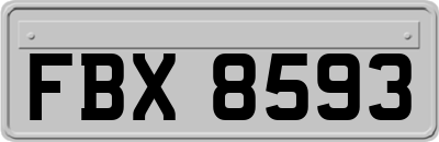 FBX8593