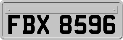 FBX8596