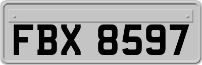 FBX8597