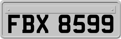 FBX8599