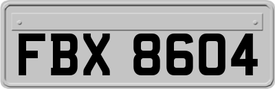 FBX8604