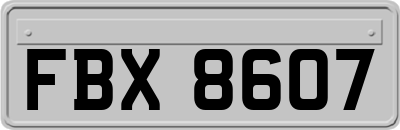 FBX8607