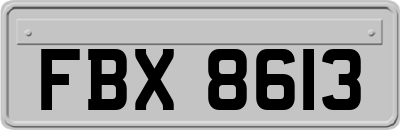 FBX8613