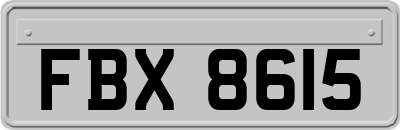 FBX8615