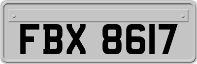 FBX8617