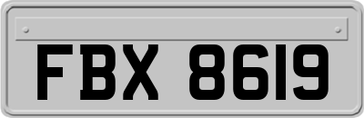 FBX8619