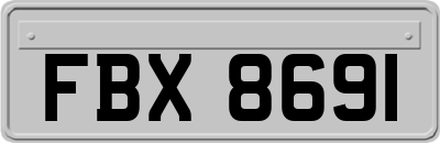 FBX8691