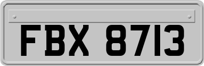FBX8713