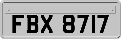 FBX8717