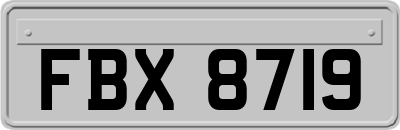FBX8719