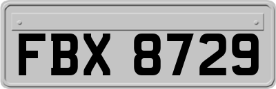 FBX8729