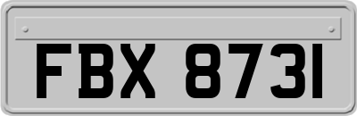 FBX8731
